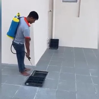 مكافحة جميع الحشرات والقوارض